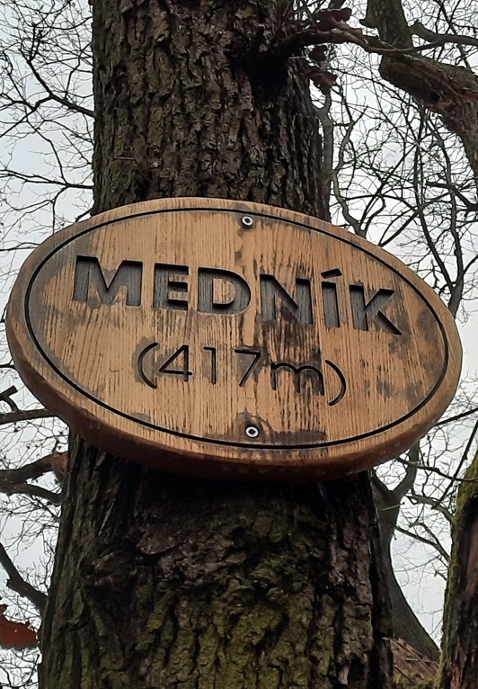 mednik.jpg